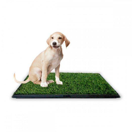 Baño para Mascotas XL