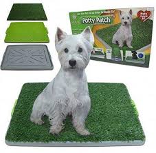 Baño para Mascotas XL